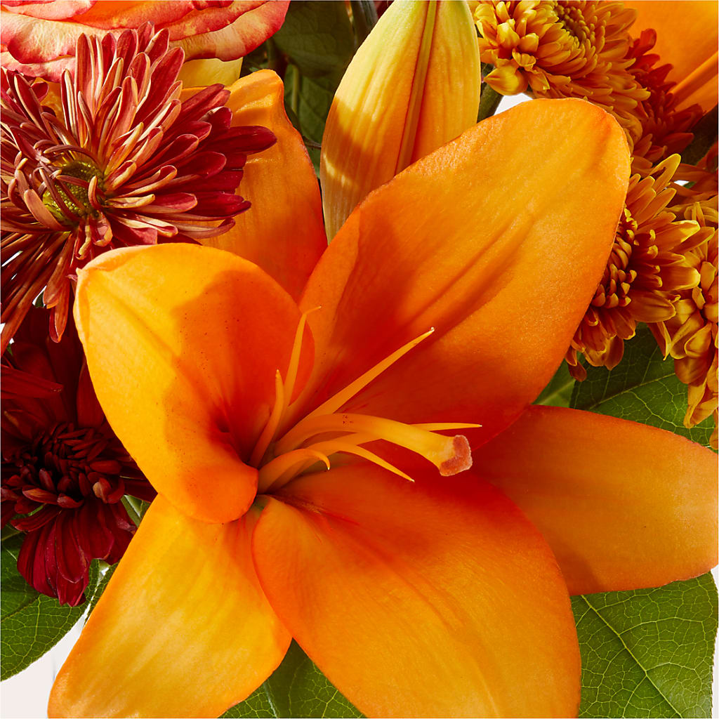 Autumnal Aroma Bouquet – FORGET-ME-NOT FLOWERS & GIFTS, Jacksonville NC