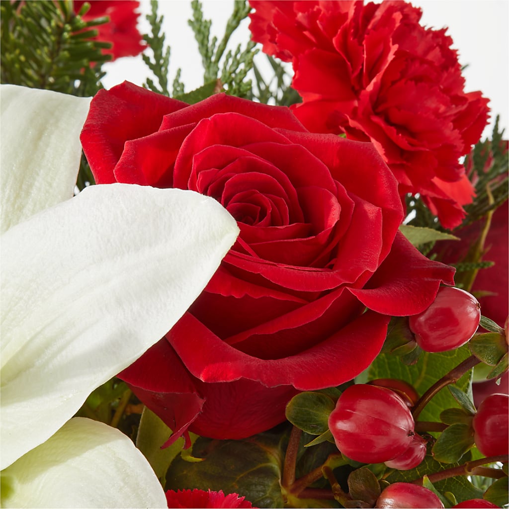 Oh So Jolly Bouquet – FORGET-ME-NOT FLOWERS & GIFTS, Jacksonville NC