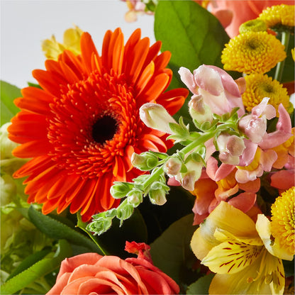 Autumn Sunshine Bouquet – FORGET-ME-NOT FLOWERS & GIFTS, Jacksonville NC