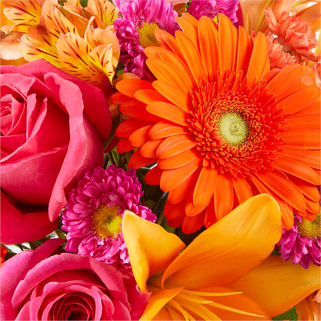 Soiree Bouquet – FORGET-ME-NOT FLOWERS & GIFTS, Jacksonville NC