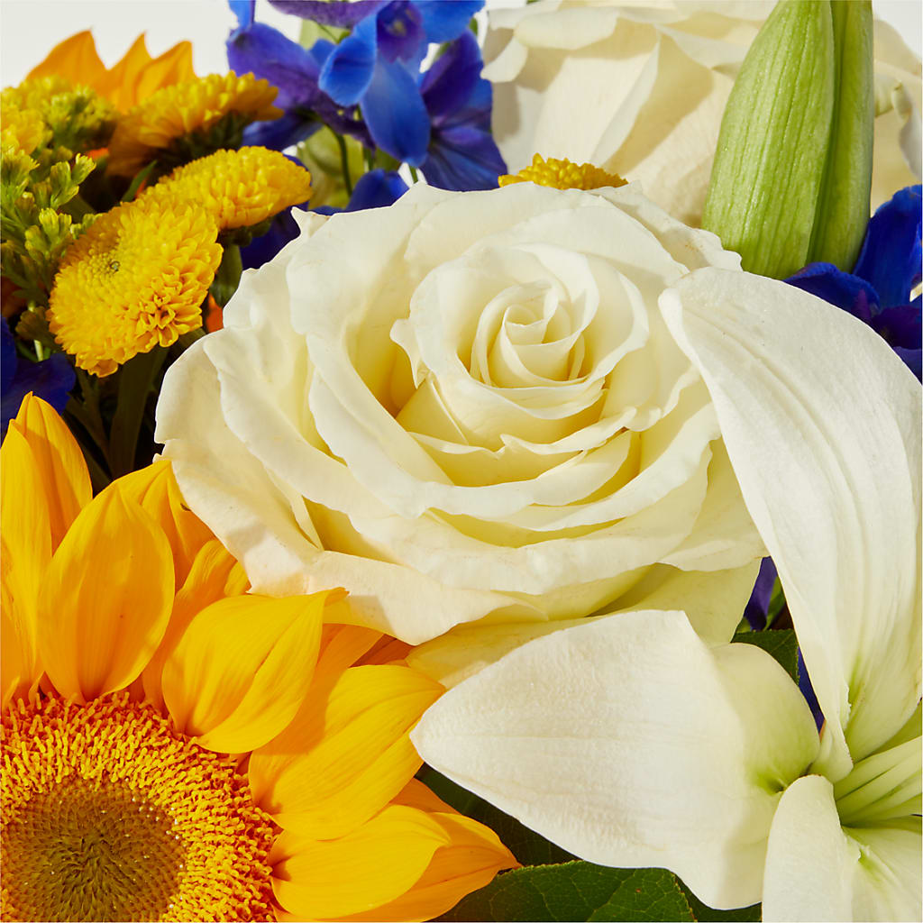 Stargazing Bouquet – FORGET-ME-NOT FLOWERS & GIFTS, Jacksonville NC