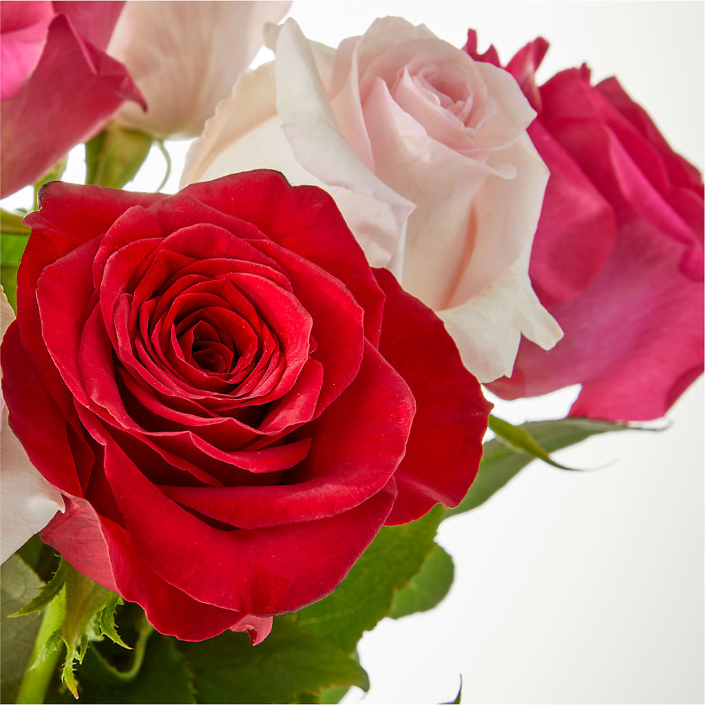 Charming Rose Bouquet – FORGET-ME-NOT FLOWERS & GIFTS, Jacksonville NC