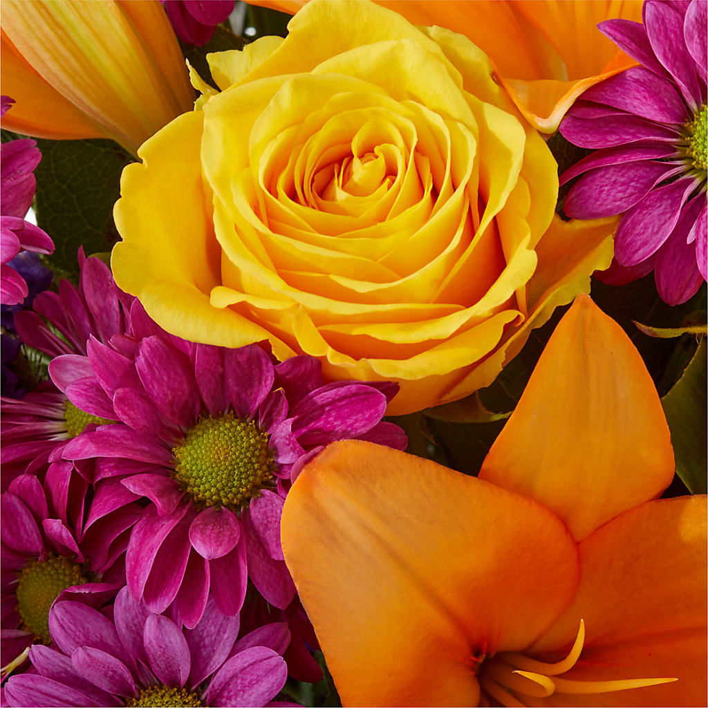 Colorful Visions Bouquet – FORGET-ME-NOT FLOWERS & GIFTS, Jacksonville NC