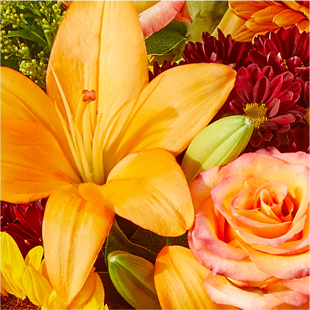 Seasons Change Bouquet – FORGET-ME-NOT FLOWERS & GIFTS, Jacksonville NC