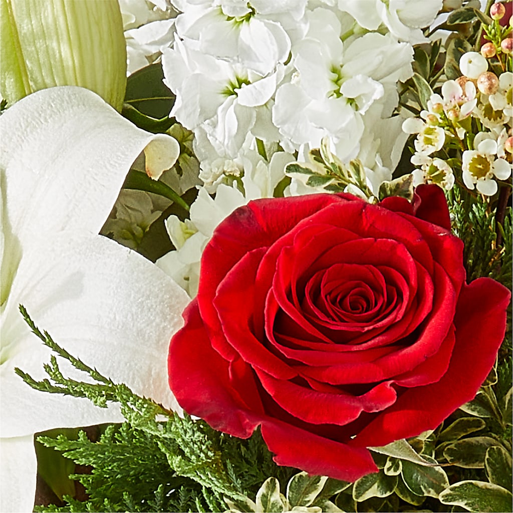 Twinkle Lights Bouquet – FORGET-ME-NOT FLOWERS & GIFTS, Jacksonville NC