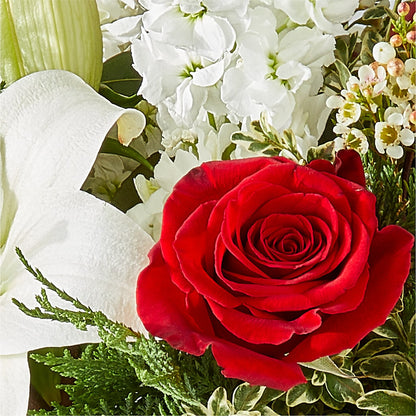 Twinkle Lights Bouquet – FORGET-ME-NOT FLOWERS & GIFTS, Jacksonville NC