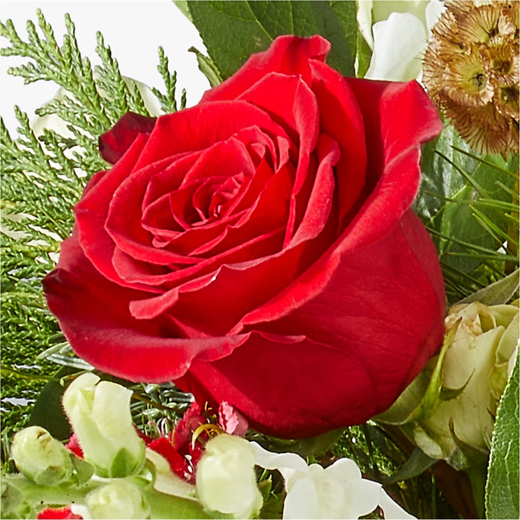Deck the Halls Bouquet – FORGET-ME-NOT FLOWERS & GIFTS, Jacksonville NC
