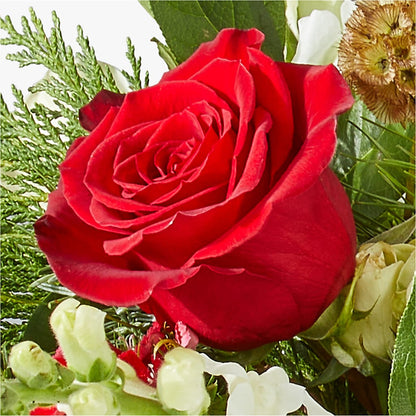 Deck the Halls Bouquet – FORGET-ME-NOT FLOWERS & GIFTS, Jacksonville NC