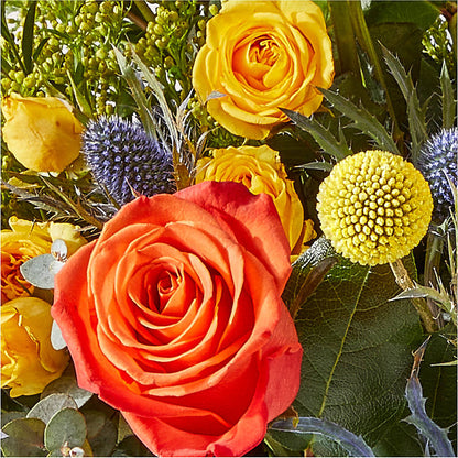 Disco Bouquet – FORGET-ME-NOT FLOWERS & GIFTS, Jacksonville NC