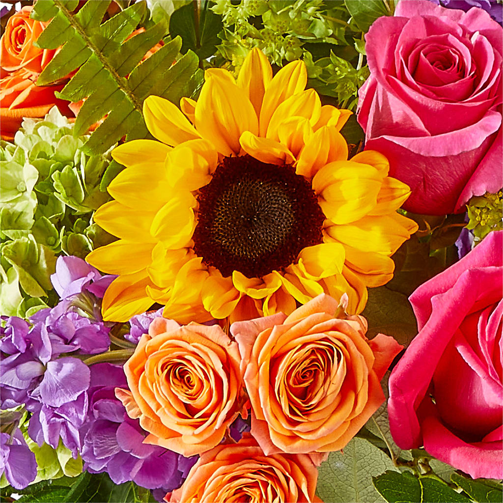 Vibrant Greetings Bouquet – FORGET-ME-NOT FLOWERS & GIFTS, Jacksonville NC