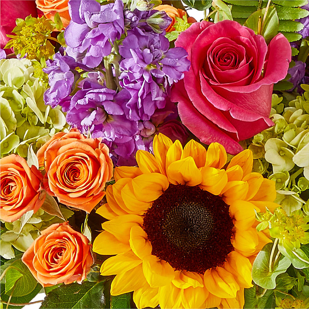 Vibrant Greetings Bouquet – FORGET-ME-NOT FLOWERS & GIFTS, Jacksonville NC