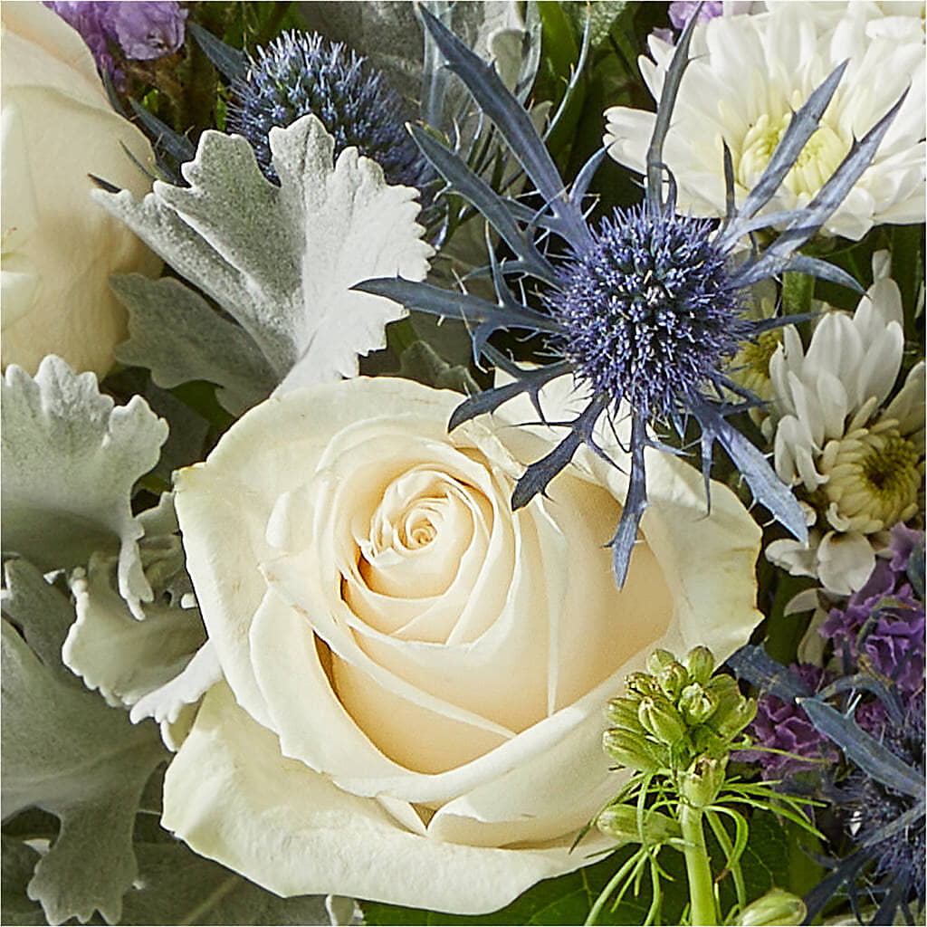 Shooting Star Bouquet – FORGET-ME-NOT FLOWERS & GIFTS, Jacksonville NC