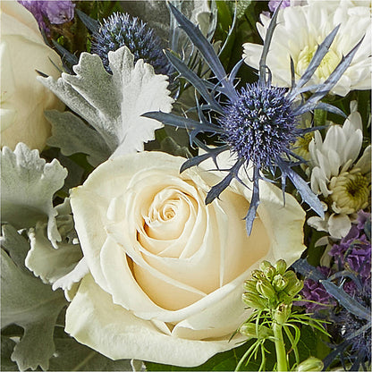 Shooting Star Bouquet – FORGET-ME-NOT FLOWERS & GIFTS, Jacksonville NC