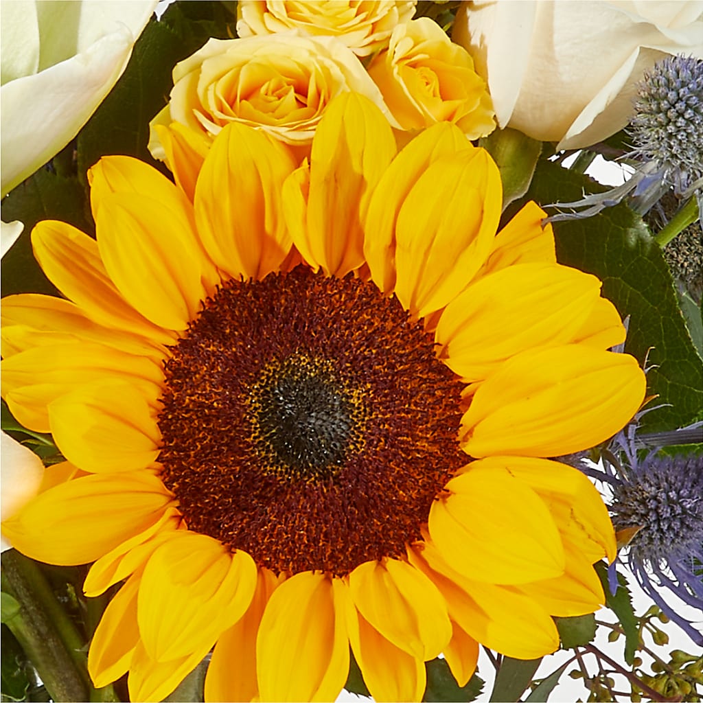 Wonderfully Sunny Bouquet – FORGET-ME-NOT FLOWERS & GIFTS, Jacksonville NC