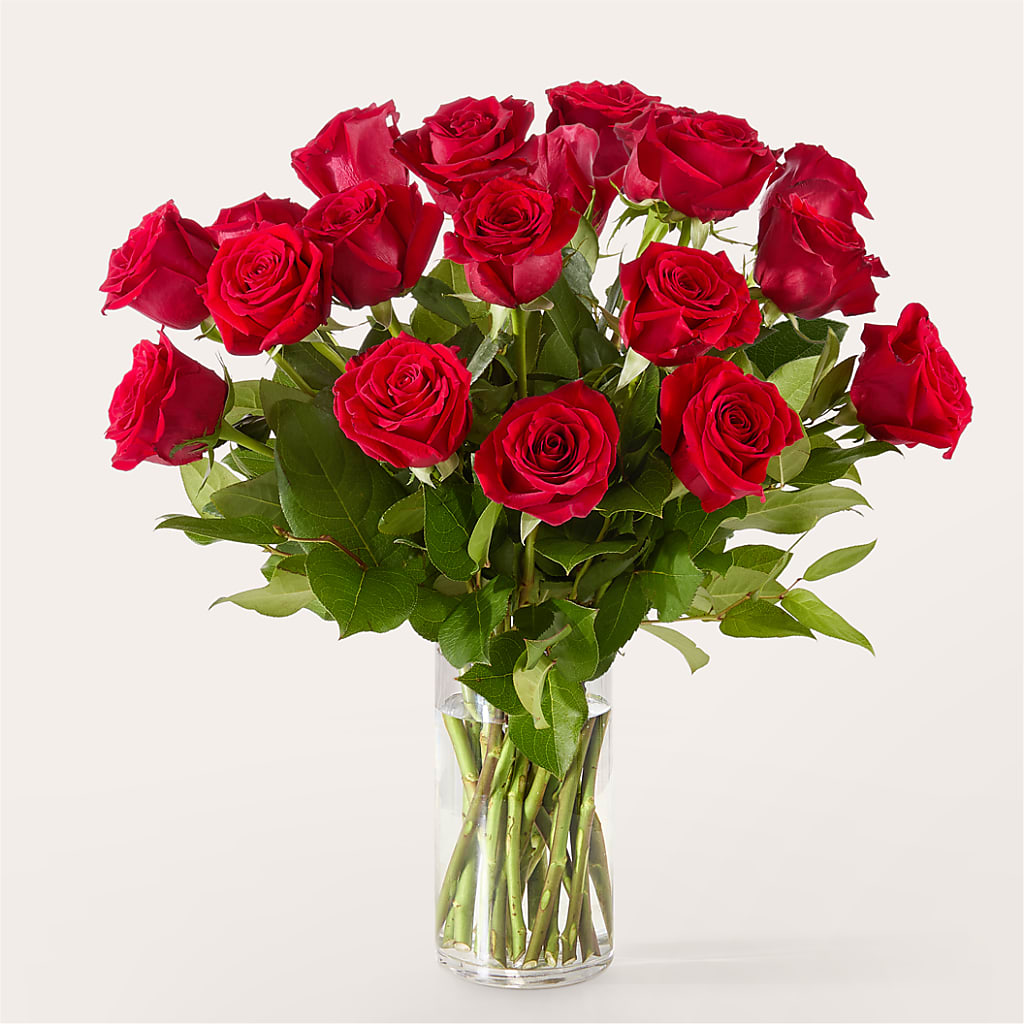 The One Red Rose Bouquet – FORGET-ME-NOT FLOWERS & GIFTS, Jacksonville NC
