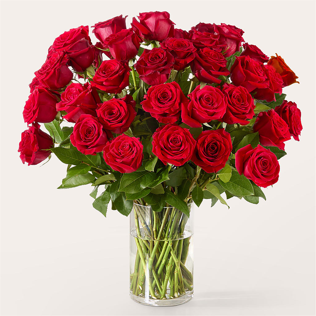 The One Red Rose Bouquet – FORGET-ME-NOT FLOWERS & GIFTS, Jacksonville NC