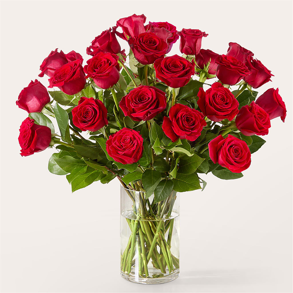 The One Red Rose Bouquet – FORGET-ME-NOT FLOWERS & GIFTS, Jacksonville NC