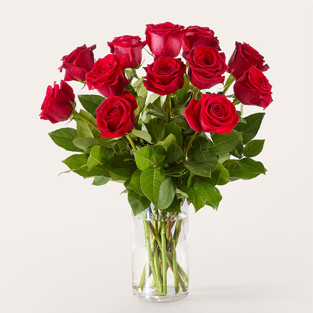 The One Red Rose Bouquet – FORGET-ME-NOT FLOWERS & GIFTS, Jacksonville NC
