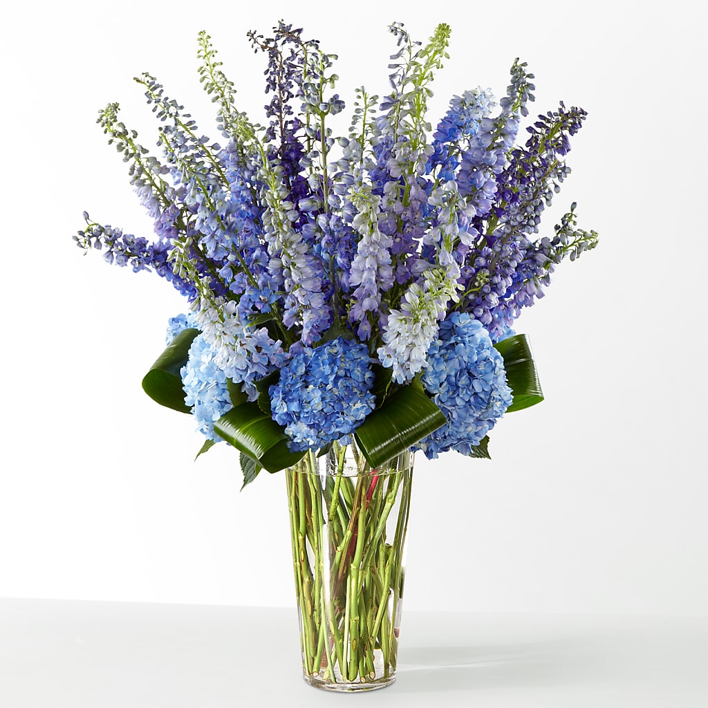 The Editorial – FORGET-ME-NOT FLOWERS & GIFTS, Jacksonville NC