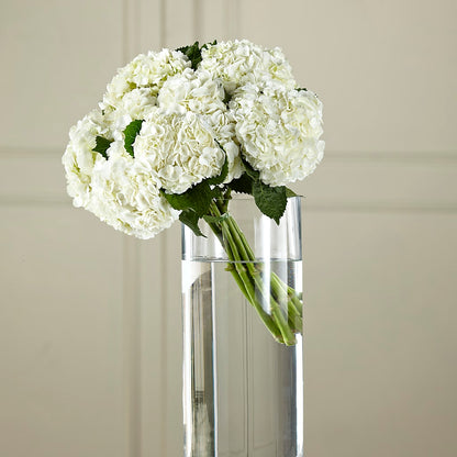 White Hydrangea Hand-Tied Bouquet – FORGET-ME-NOT FLOWERS & GIFTS, Jacksonville NC