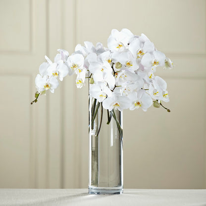 White Phalaenopsis Bouquet – FORGET-ME-NOT FLOWERS & GIFTS, Jacksonville NC