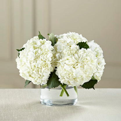 White Hydrangea Bouquet – FORGET-ME-NOT FLOWERS & GIFTS, Jacksonville NC